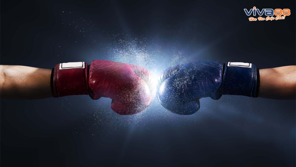 Cách chơi cá cược Boxing